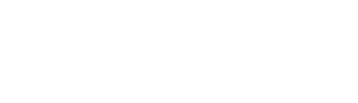 헌치