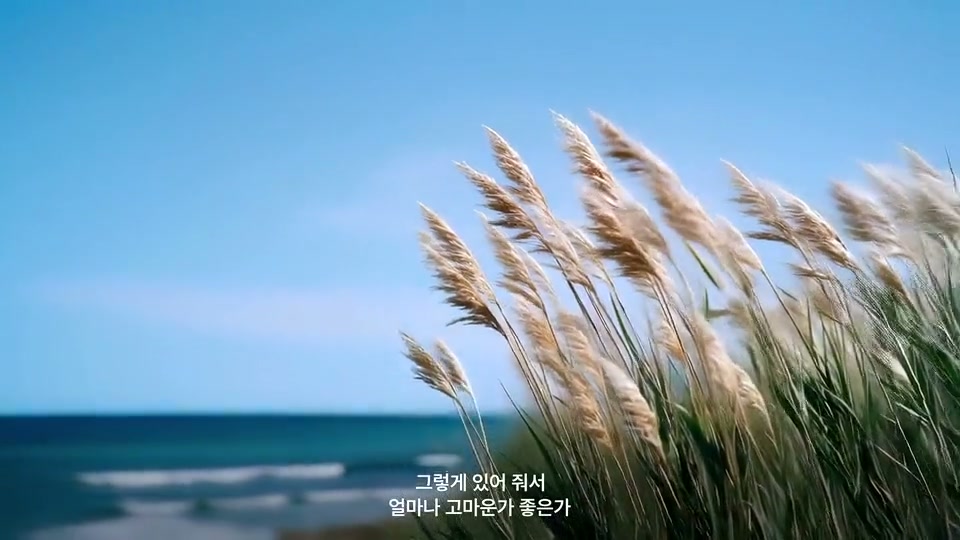 가을시즌 캠페인 — 롯데백화점 Brand Film | AI 영상 제작 blink ai. 블링크스튜디오